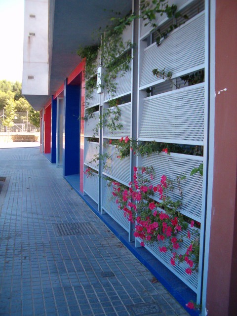 Estudio en Córdoba