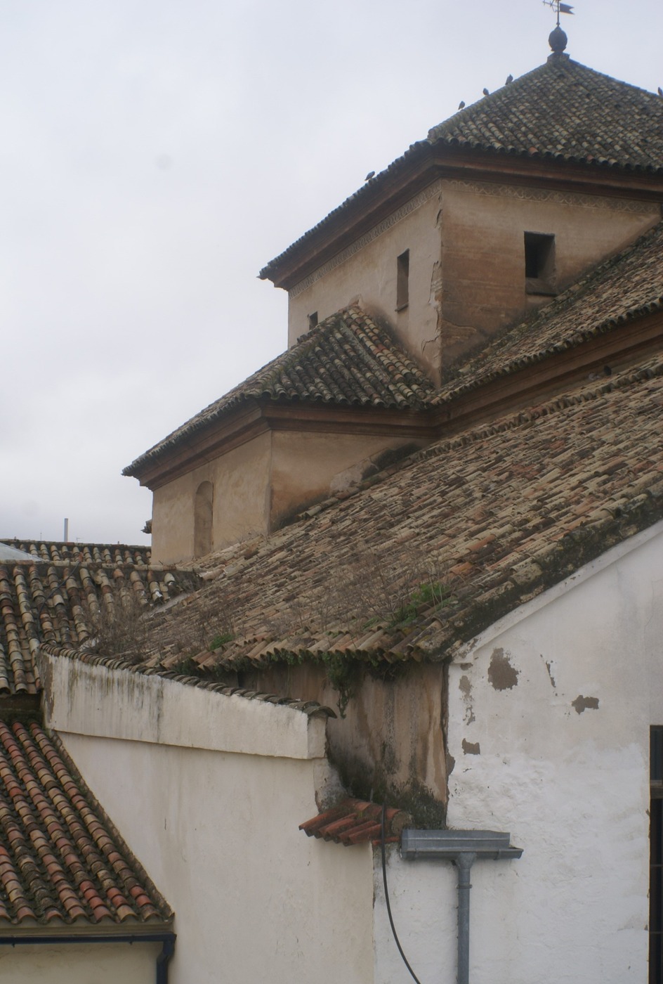 Seminario — Córdoba (8 de 12)